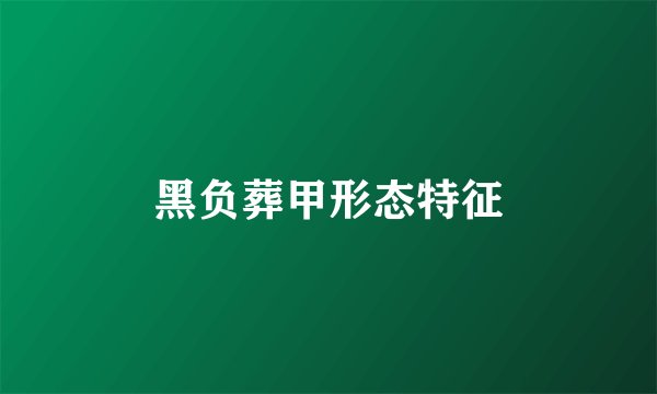 黑负葬甲形态特征