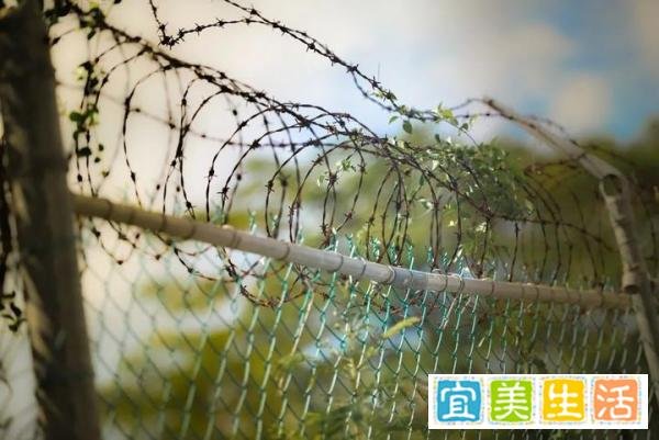 李铁出镜反腐大片收视超《繁花》,网友关注点跑偏:“铁”刘海还在,李铁为什么没理发?