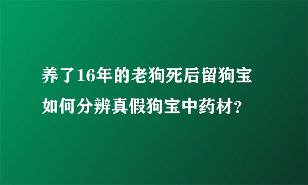 养了16年的老狗死后留狗宝 如何分辨真假狗宝中药材？
