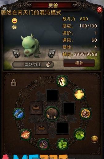 斗战神宠物开洞经验分享(斗战神宠物开孔技巧)