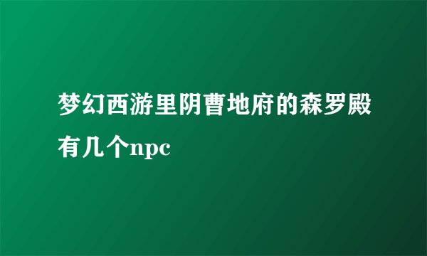 梦幻西游里阴曹地府的森罗殿有几个npc