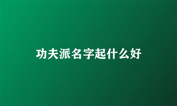 功夫派名字起什么好