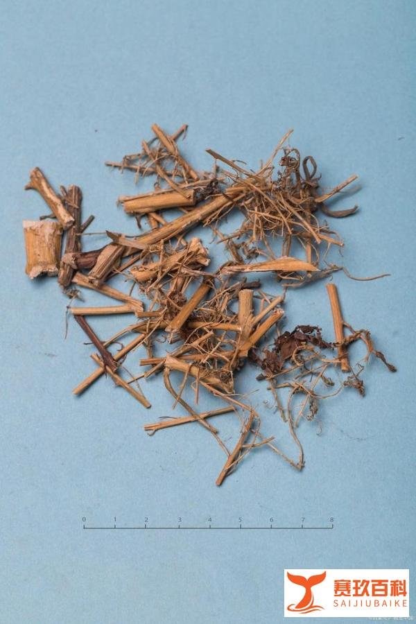 A股：重磅悬念“青蒿素”概念股5大龙头有望登顶！（名单）