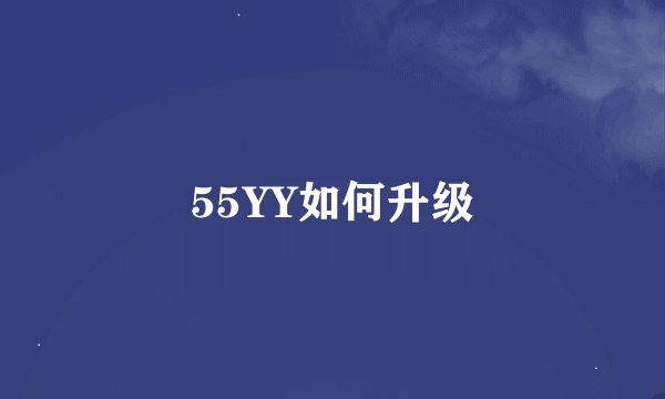 55YY如何升级