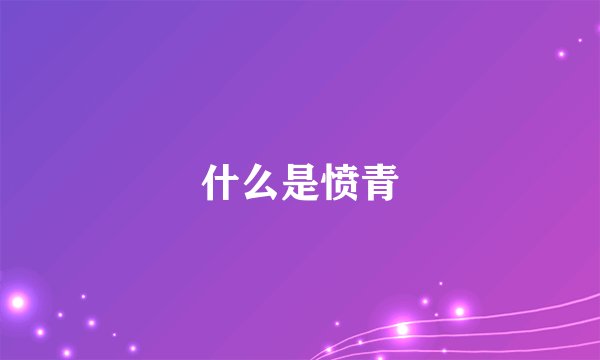 什么是愤青
