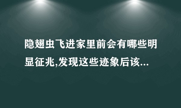隐翅虫飞进家里前会有哪些明显征兆,发现这些迹象后该怎么提前做好防护?
