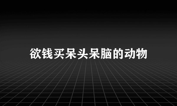 欲钱买呆头呆脑的动物