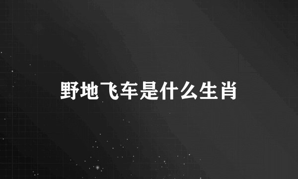 野地飞车是什么生肖