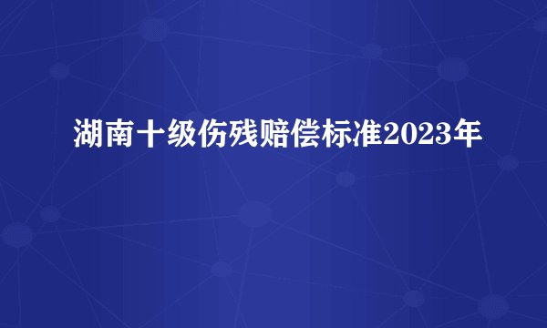 湖南十级伤残赔偿标准2023年