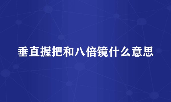 垂直握把和八倍镜什么意思