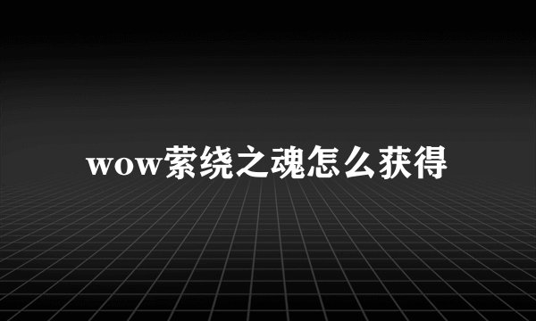 wow萦绕之魂怎么获得