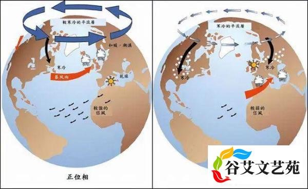 微专题 | 极地涡旋与北极涛动
