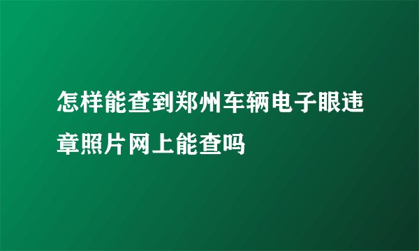 怎样能查到郑州车辆电子眼违章照片网上能查吗