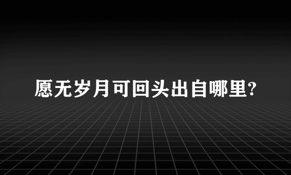 愿无岁月可回头出自哪里?