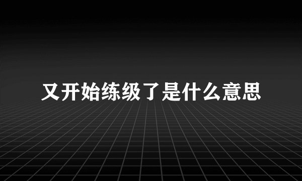 又开始练级了是什么意思