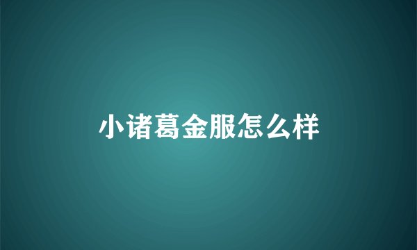 小诸葛金服怎么样