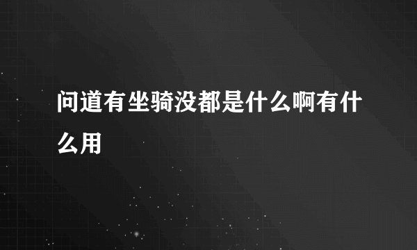 问道有坐骑没都是什么啊有什么用