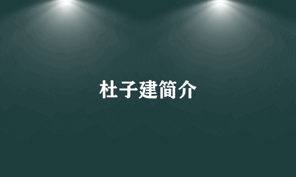 杜子建简介