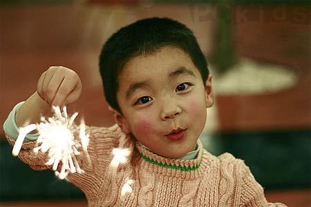 九叶网的两大平台