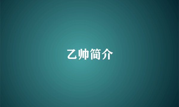 乙帅简介