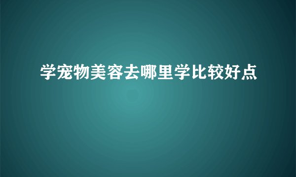 学宠物美容去哪里学比较好点