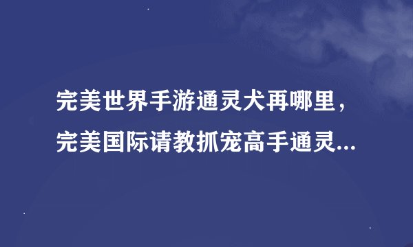 完美世界手游通灵犬再哪里，完美国际请教抓宠高手通灵犬刷新坐标