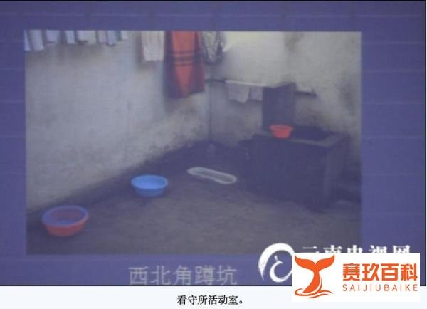 那些对社会产生重大影响的案件:躲猫猫案