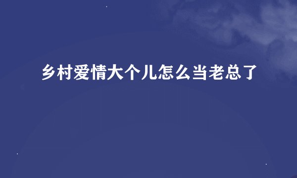 乡村爱情大个儿怎么当老总了