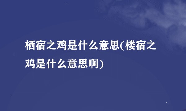 栖宿之鸡是什么意思(楼宿之鸡是什么意思啊)