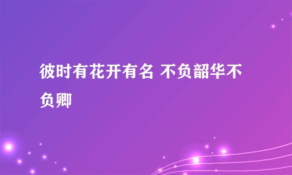 彼时有花开有名 不负韶华不负卿