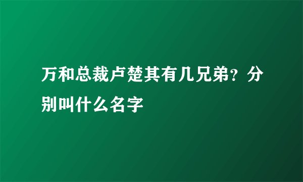 万和总裁卢楚其有几兄弟？分别叫什么名字