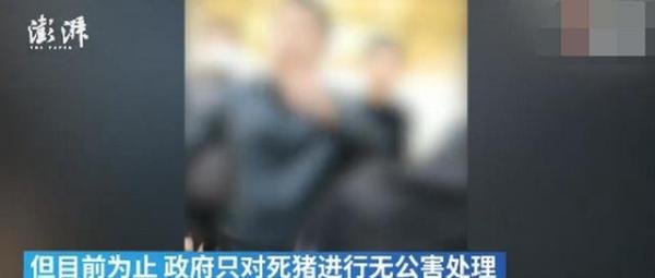 景德镇一养猪场大批死猪致污染?村民:整改一个月未解决