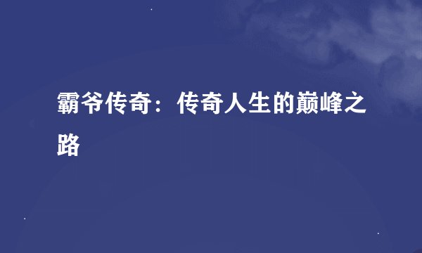 霸爷传奇：传奇人生的巅峰之路