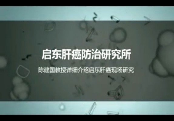 启东论坛的介绍