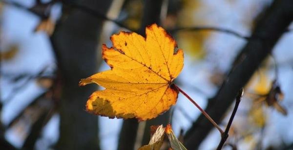 如何撑过“被单身”？