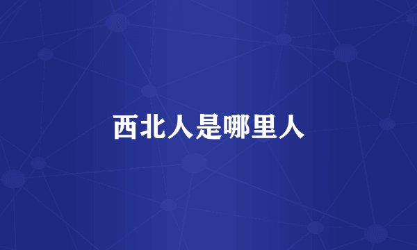 西北人是哪里人
