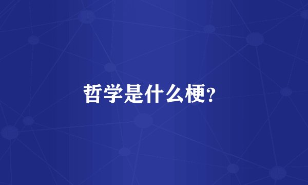 哲学是什么梗？