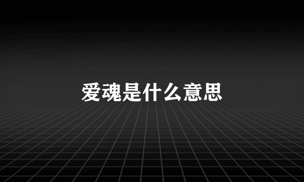 爱魂是什么意思