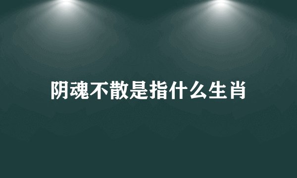 阴魂不散是指什么生肖