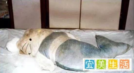 中国十大奇案:99年香港Hello Kitty藏尸案