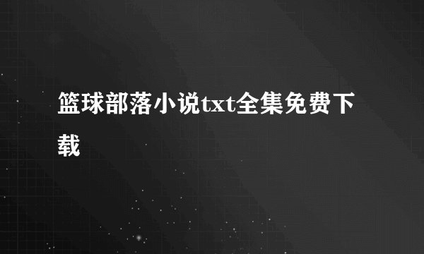 篮球部落小说txt全集免费下载