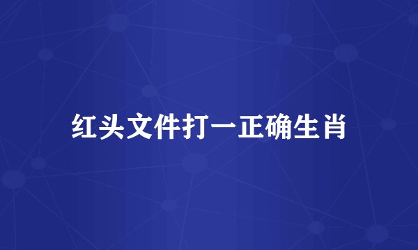 红头文件打一正确生肖
