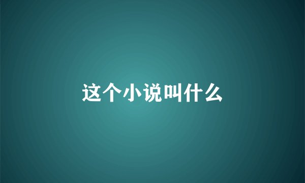 这个小说叫什么
