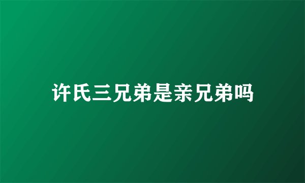 许氏三兄弟是亲兄弟吗