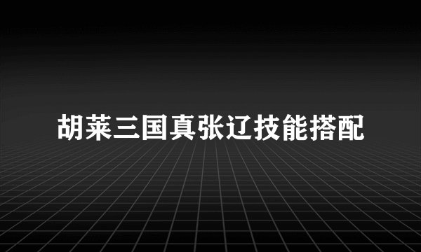 胡莱三国真张辽技能搭配