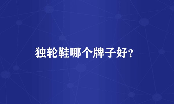 独轮鞋哪个牌子好？