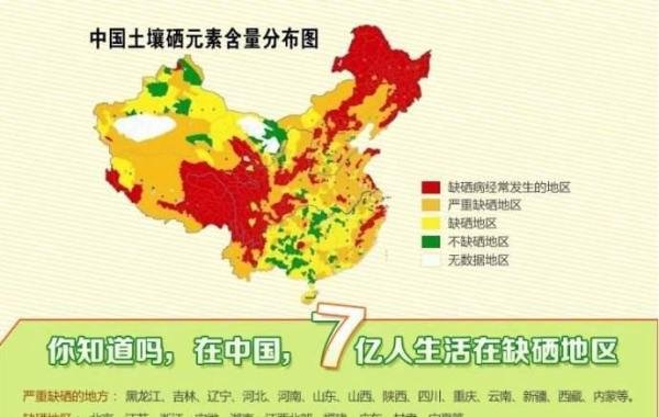 戴光强教授提出补硒新观点