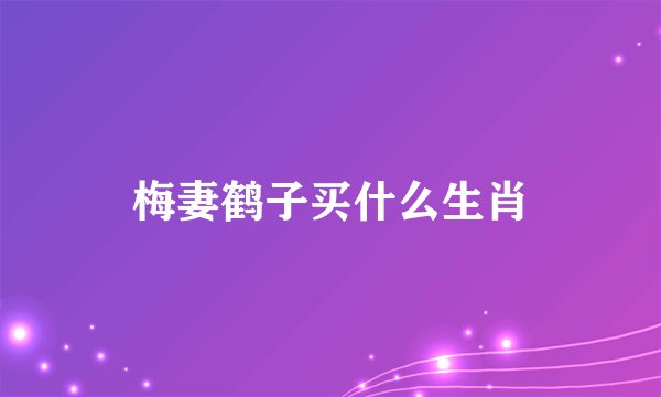 梅妻鹤子买什么生肖