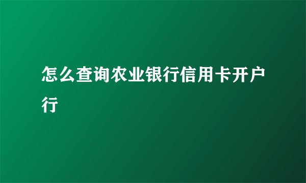怎么查询农业银行信用卡开户行