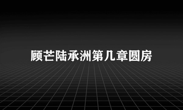 顾芒陆承洲第几章圆房